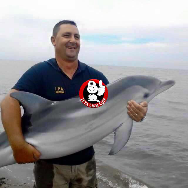 delfin