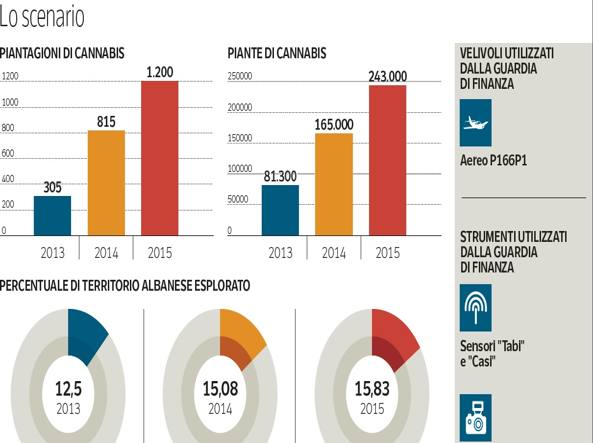 grafico-593x443