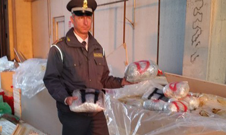 Itali, kapet 1 ton e 650 kg marijuana e nisur nga Shqipëria