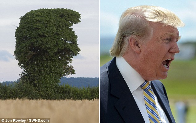 FOTO/ Pema Donald Trump!
