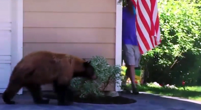 VIDEO/ Ndodh që edhe ariu të trembet nga njeriu