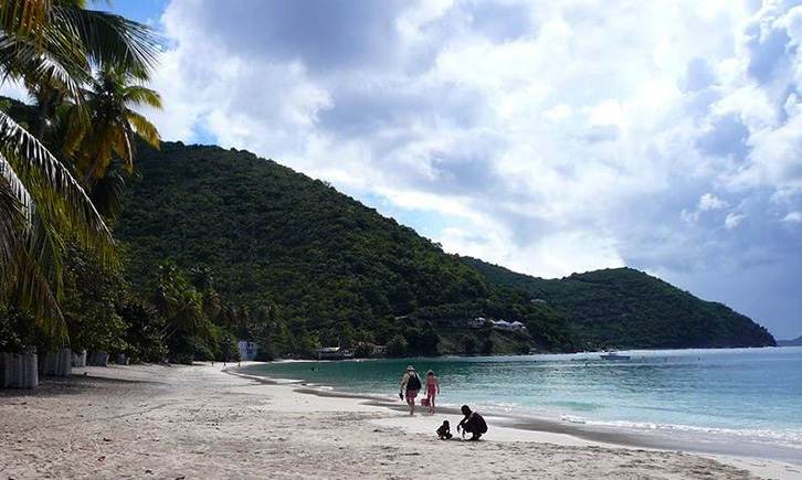 SKANDAL/ Kompani guaskë nga parajsa fiskale fshihen pas koncesionit të TVSH-së