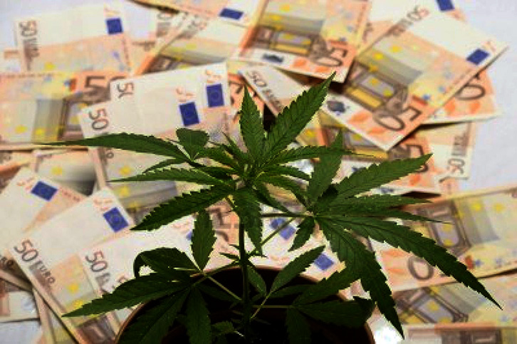 Zhvlerësimi i frikshëm, kanabis “i merr frymën” euros