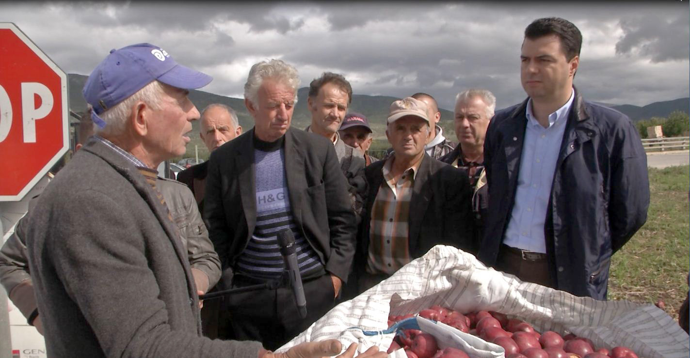 DENONCIMI/ Fermerët e Devollit: Mollët po na i hanë minjtë, drejtori i Bujqësisë fut paratë e pesticideve në xhep