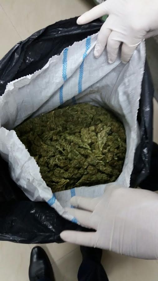 Operacion antidrogë, sekuestrohen 25.5 kg kanabis, pranga 2 autorëve