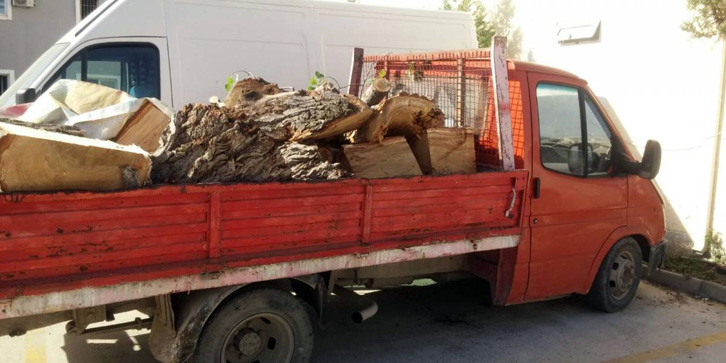 Durrës, shiste drutë e bllokuar, arrestohet drejtori i Pyjores