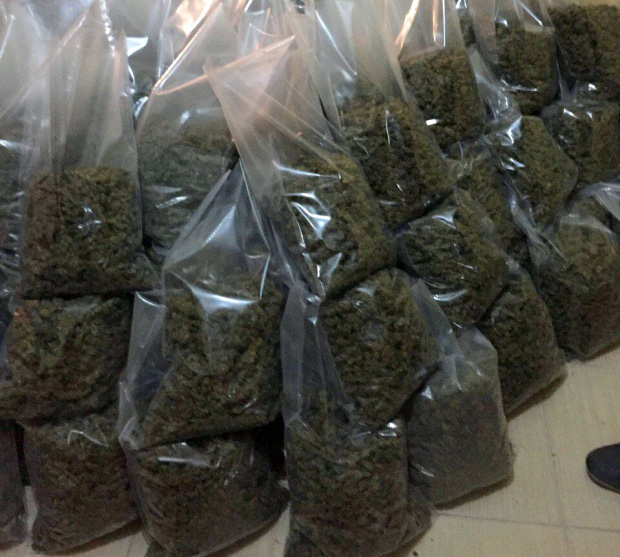 EMRAT/ Durrës, identifikohen 7 personat e arrestuar për 700 kg kanabis