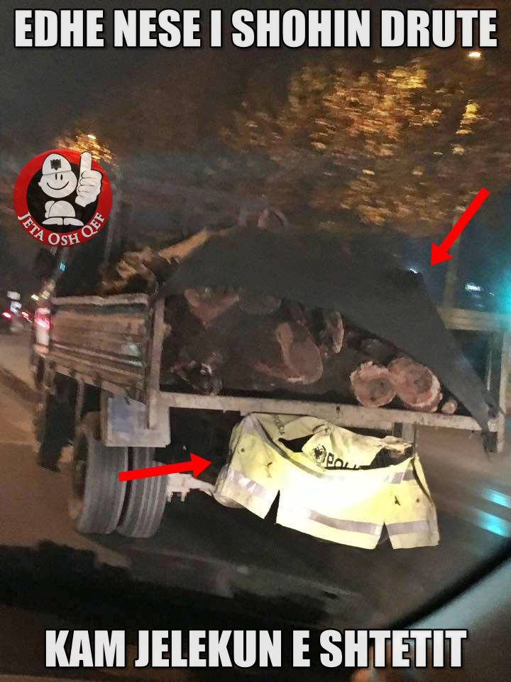 FOTO HUMOR/ Edhe në se i shohin drutë… !