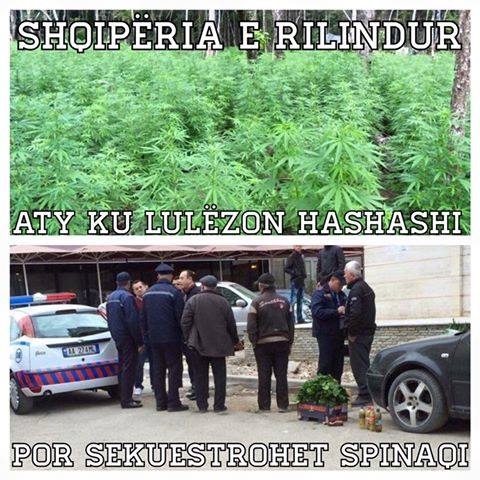 FOTO HUMOR/ Shqipëria e rilindur…!