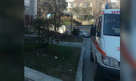Bie nga tarraca e pallatit, ishte ngjitur për depozitën e ngrirë