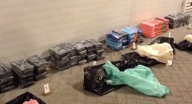 Holandë, qeni antidrogë kafshon trafikantin shqiptar