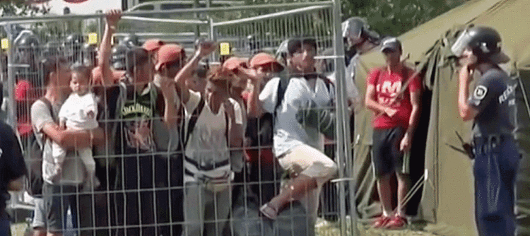 Hungari, dështon referendumi për emigrantët