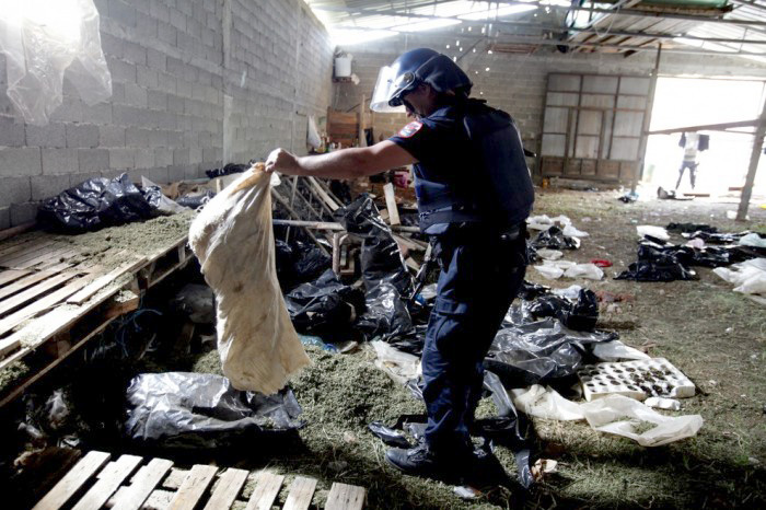 DOSJA/ Pazari për shitjen e kanabisit që dekonspiroi vëllanë e kryebashkiakut të Poliçanit