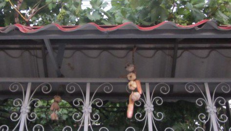 “Gazetarë që habiten me habinë e angleskes”