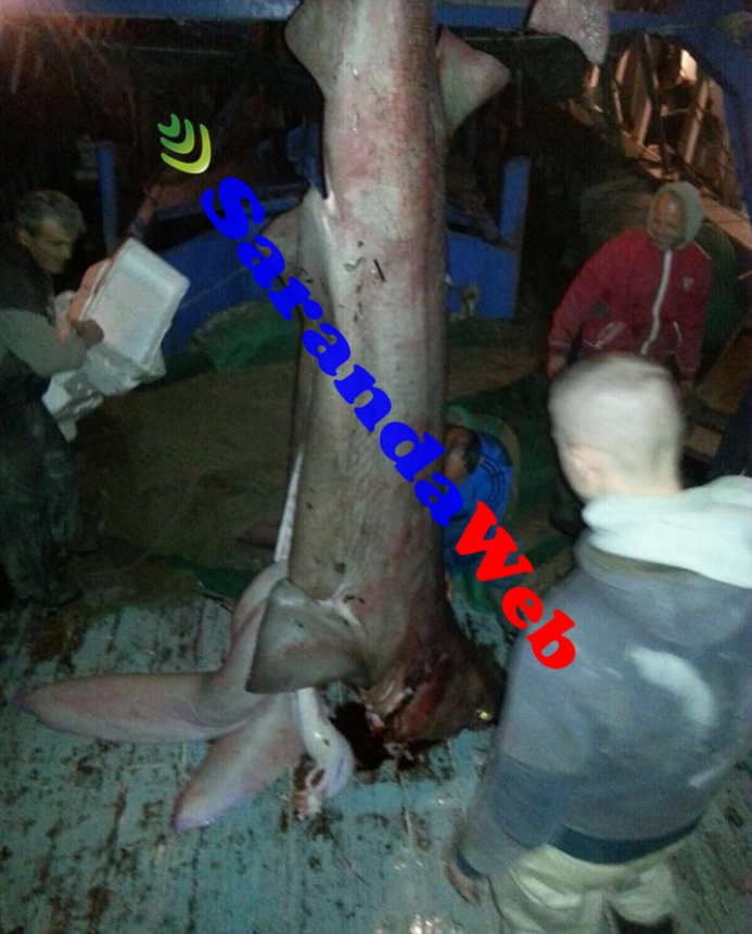 FOTO/ Peshkaqeni gjigand bie në rrjetën e sarandiotëve