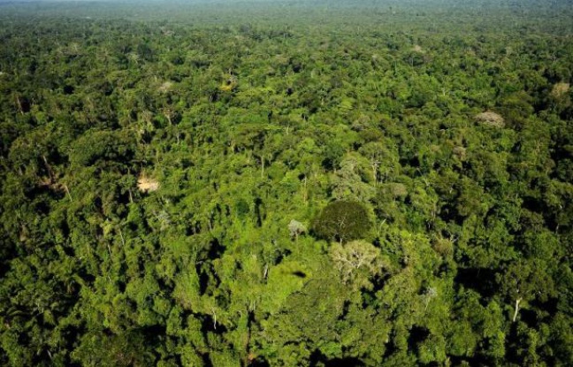 Historia, 12 vjeçari që mes vdekjes me thikë dhe hedhjes në humnerë zgjodhi të dytën