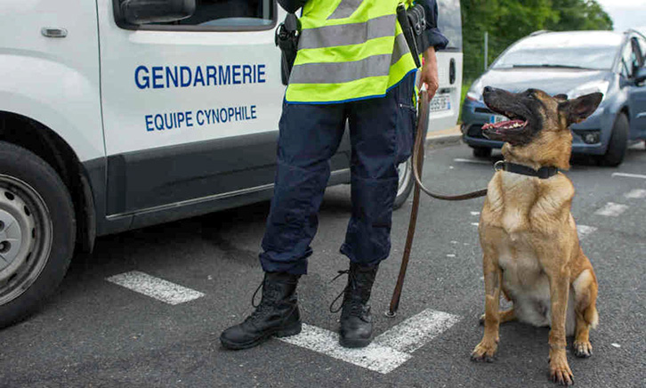 FOTO LAJM/ Paris, në operacionin e sotëm terroristët vranë Diesel, qenin e policisë franceze
