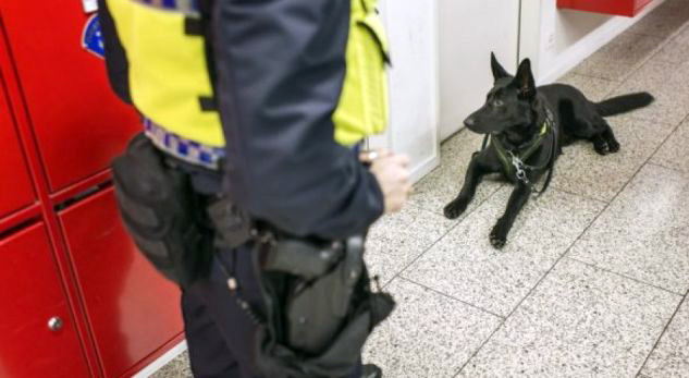 Qeni zviceran, zbulon hajdutin shqiptar