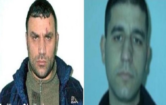 Zbardhen përgjimet, Gilmando Dani: “Deshi me ardh Zamiri”