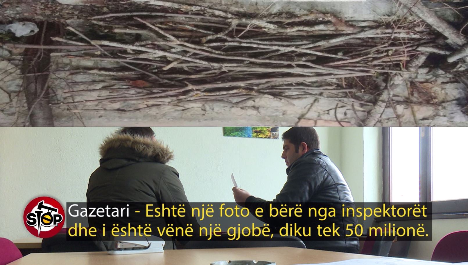 SKANDAL/ Shteti nuk të fal, 50 milionë lekë gjobë në mes të dimrit edhe për një dorë shkarpa