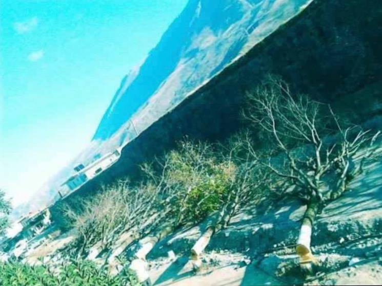 FOTO/Tërmet Peci bën tërmet në Tepelenë