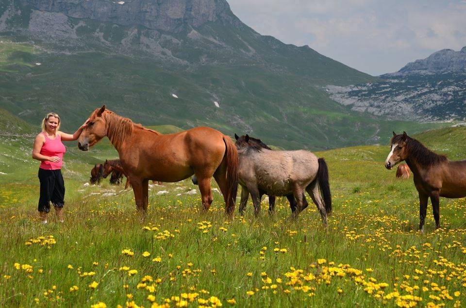 “Si tu themi nanave t’Çekisë!”, një këngë për Mick dhe Anna