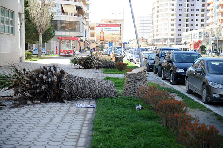 Të fala nga Vlora, “dushk për gogla”…!
