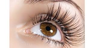 Ja disa mënyra natyrale për të rritur qerpikët