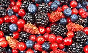 Ushqimet që ju dhurojnë rini të përhershme