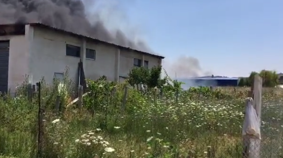 FOTO/I famshmi Dan Bilzerian vjen në Durrës, sjell jahtin plot me vajzat