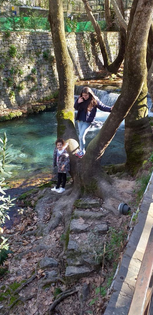 FOTO/ Familja Gushi ishte nisur për fundjavë në Vlorë, si ndodhi aksidenti tragjik, detajet e fundit