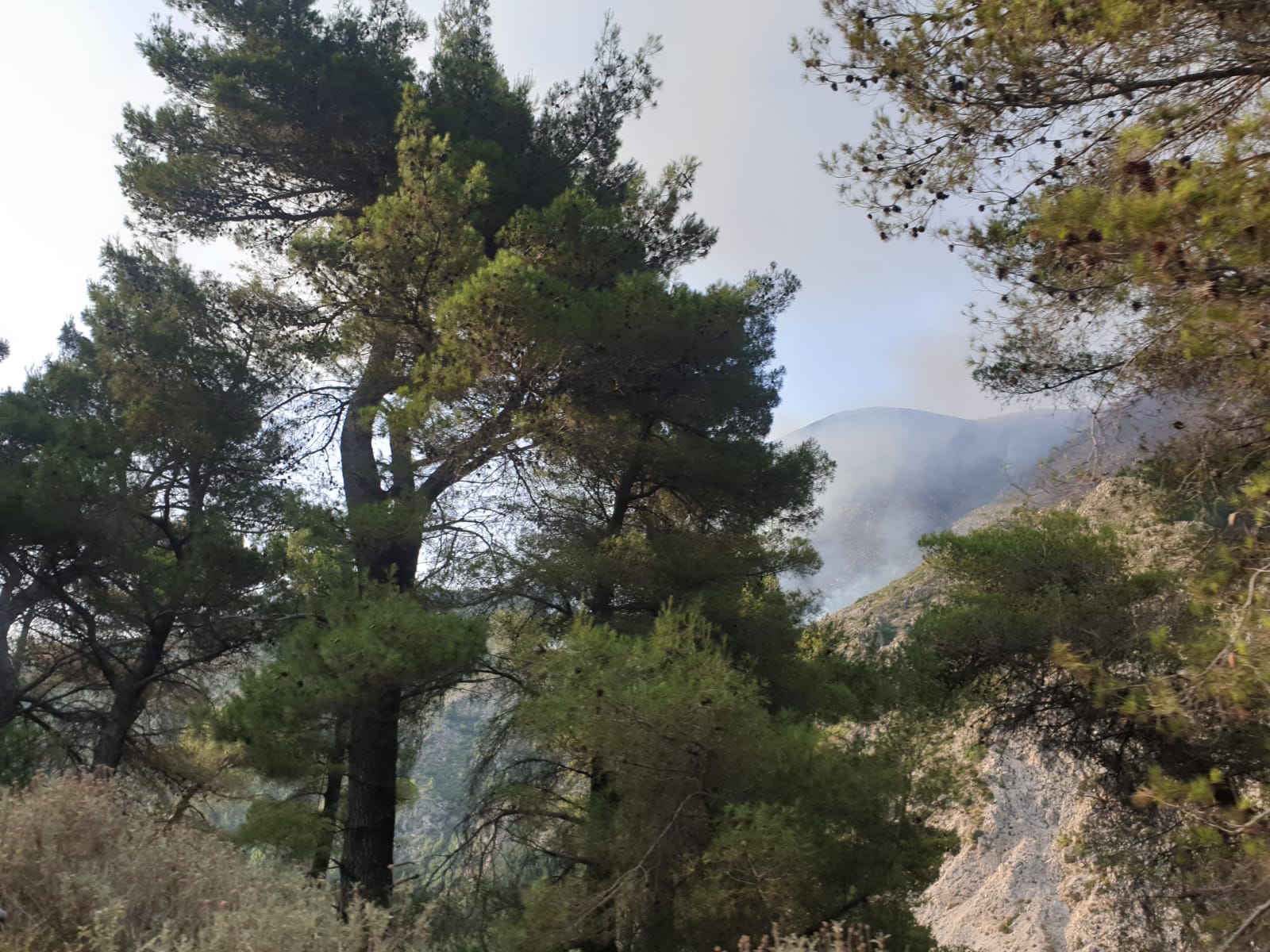 VIDEO&FOTO/ Prej 6 ditësh zjarri po djeg pishat e Dukatit, asnjë ndërhyrje