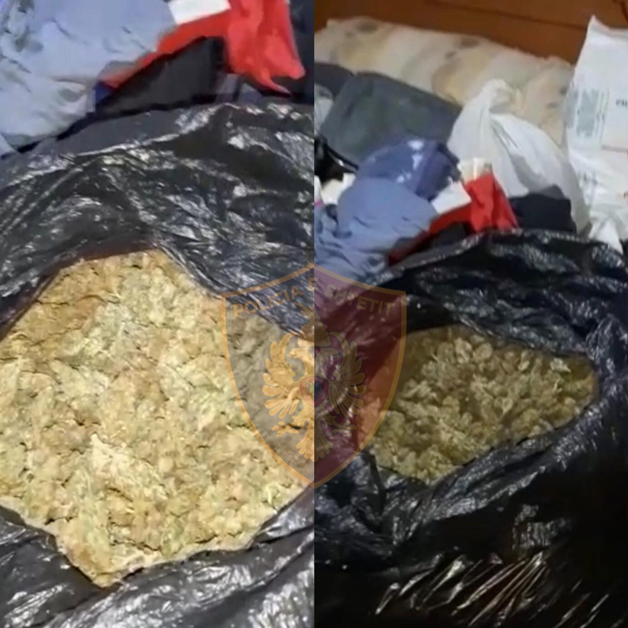 FIER/ Arrestohen babë e bir në Cakran, fermerë ‘të mirë’ të kanabisit