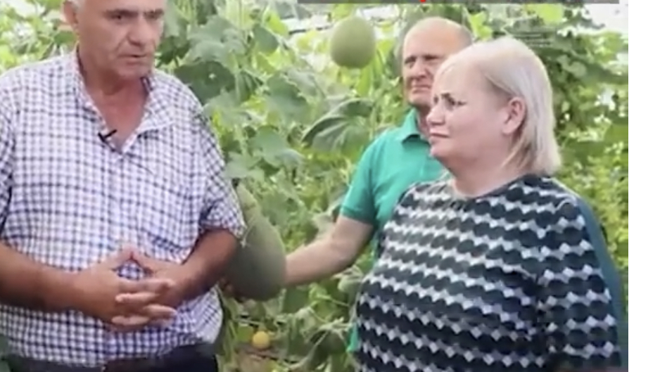 Ministrja ne video me bime kanabisi te sera në Lushnjë, ja pse ishte aty