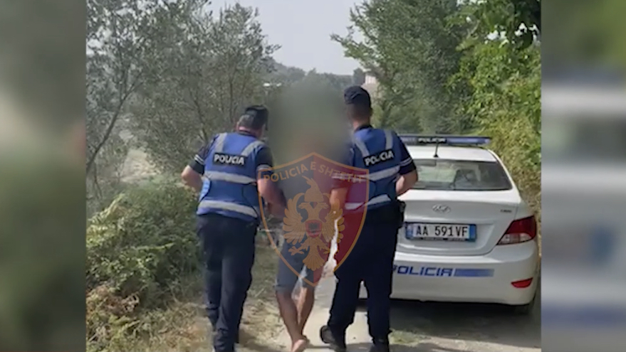 FIER/ Kapet armë zjarri, drogë, fara kanabis dhe shuma parash. Vihen në pranga 4 shtetas