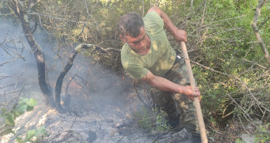 Ku janë zjarret më të rrezikshme në vend, Mbrojtja jep detajet ku zjarri po avancon