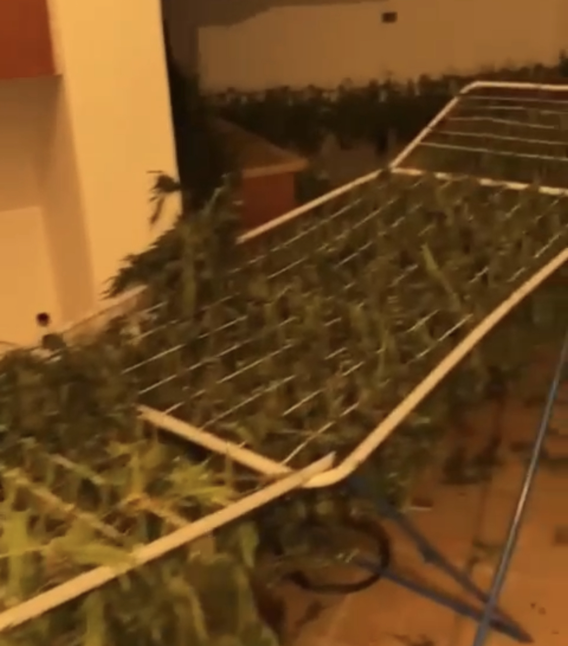 Si u zbulua apartamenti i barit në Tiranë, tradhtari ishte nga brenda