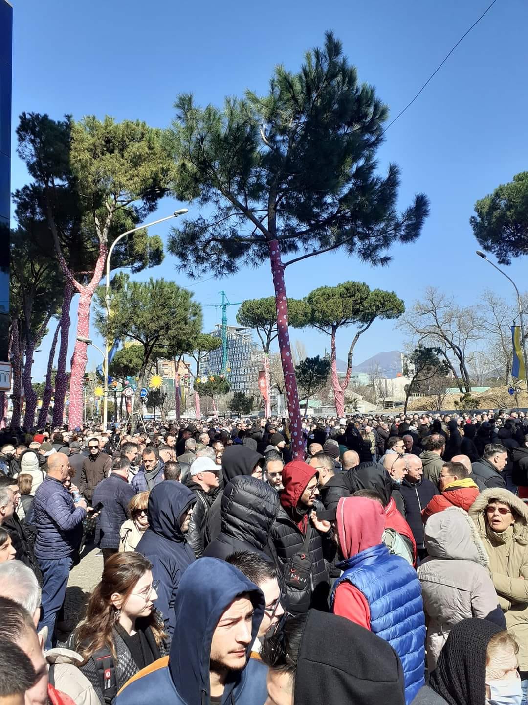 ‘Boll na vodhët!” Përfundon protesta tek zyra e kryetarit të grupit të strukturuar. Nesër në 11.00