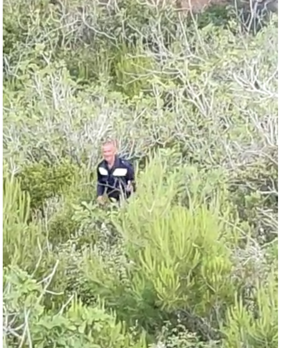 VIDEO/ Dalin pamjet, një burrë i vinte flakën pyllit në Sazan