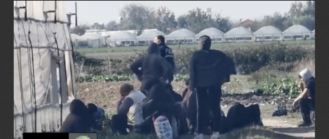 KORÇË/ Naftë kontrabandë dhe punishte brumi pa regjistruar