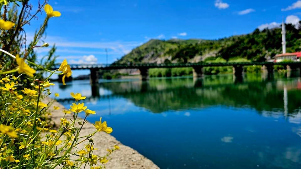 Çfarë ndodhi në familjen Arrazi para tragjedisë, denoncimi i motrës së Almës