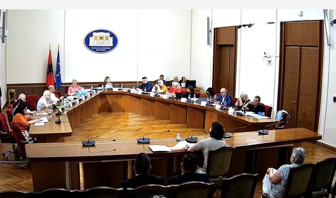 Ekspetët auditues dëshmojnë në Komisionin e Check up, koncesioni nuk ishte efiçent