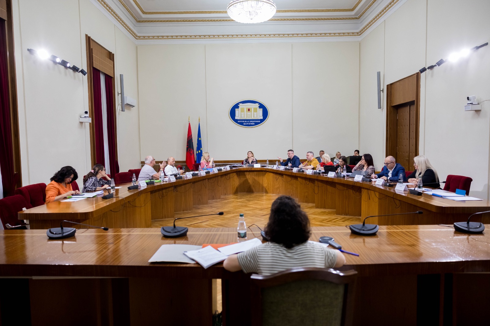 Ekspetët auditues dëshmojnë në Komisionin e Check up, koncesioni nuk ishte efiçent