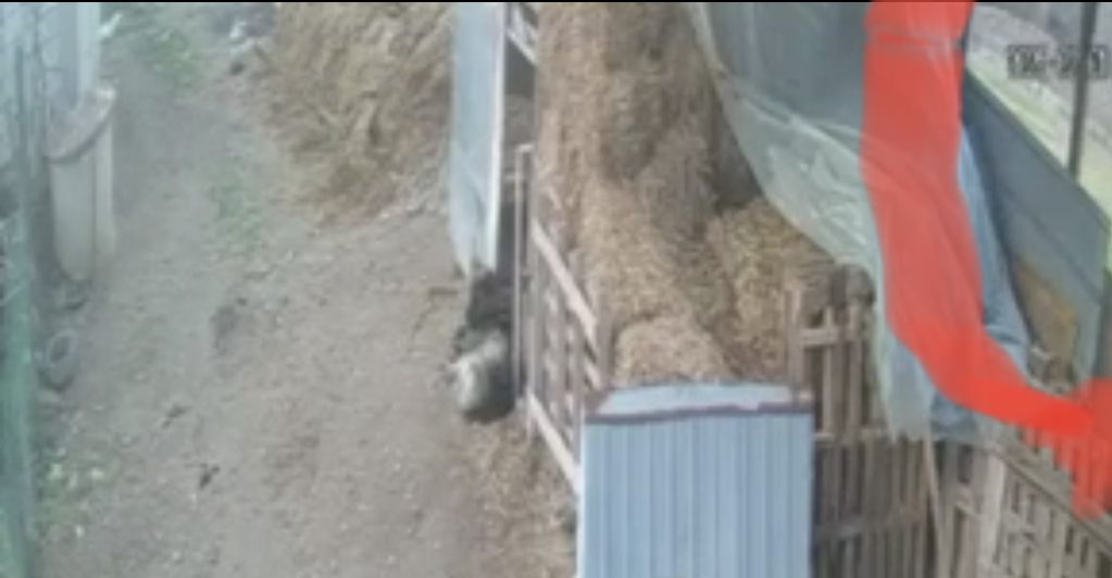 Humbën jetën 3 fëmijë në Gjakovë, u shemb shtëpia