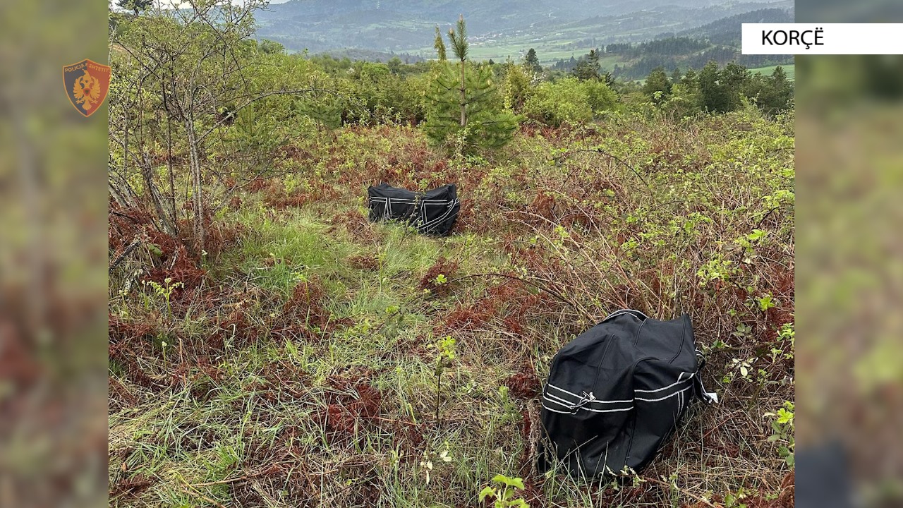 Çanta plot më kanabis në kufirin me Greqinë, aksion i policisë së Korçës