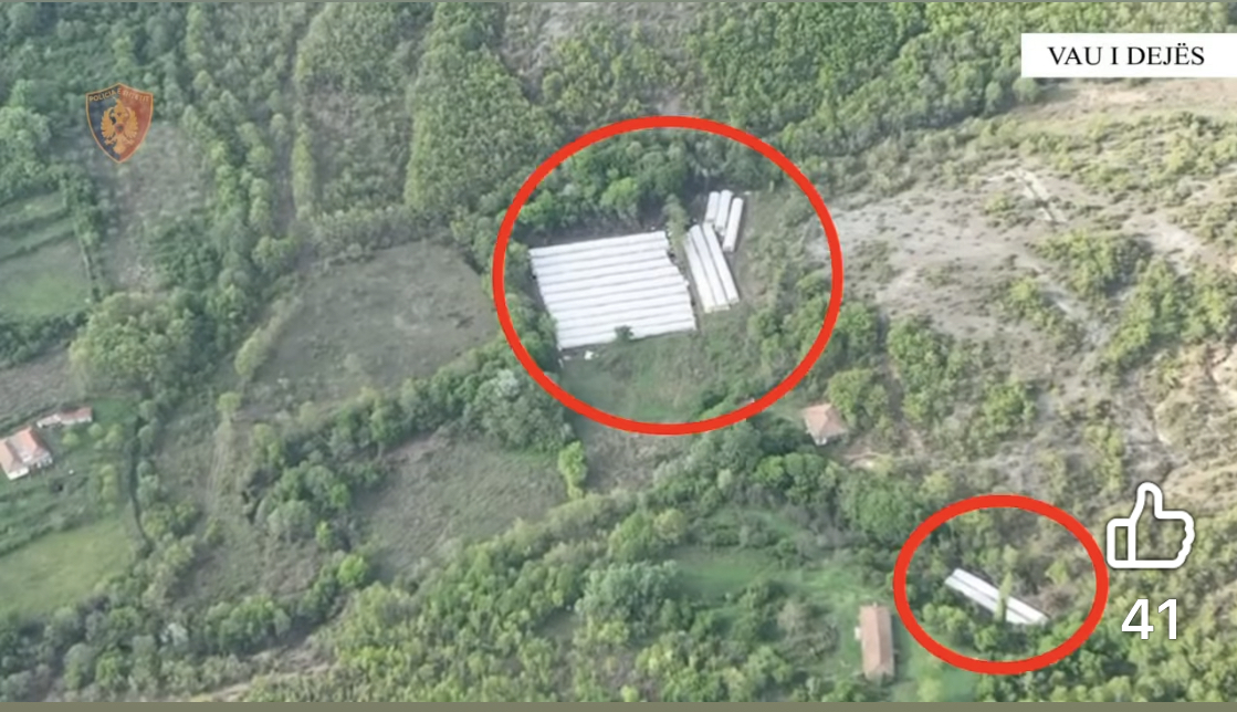 Dy sera me 2200 bimë kanabis në fshatrat e Vaut të Dejës