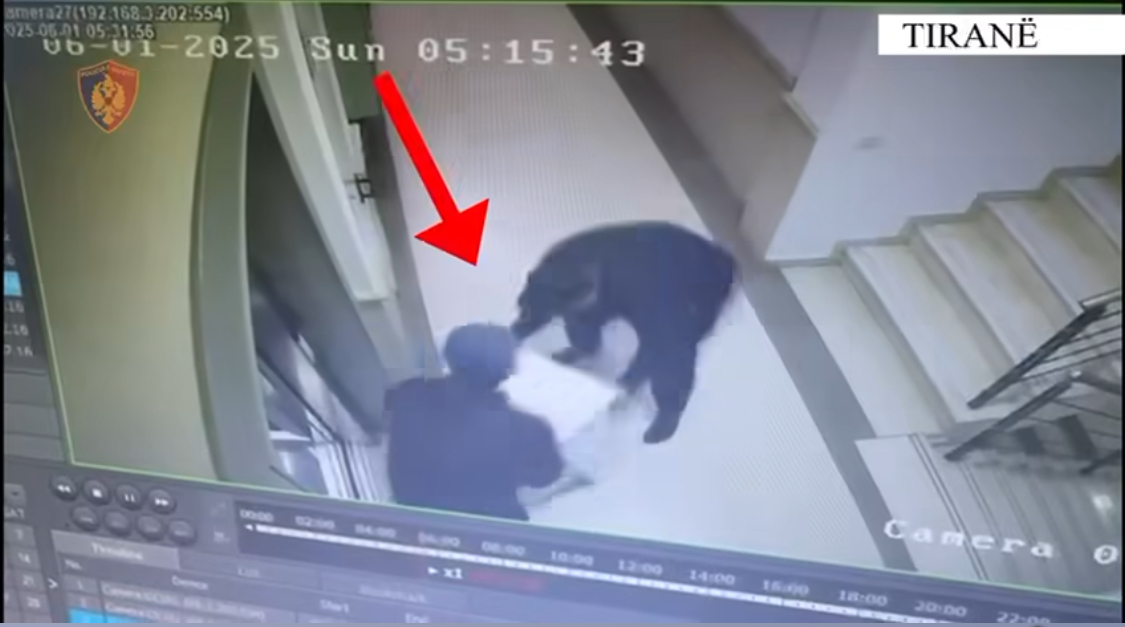 VIDEO/ Transport i vështirë, vjedhin kasafortën me 1500 euro, pamjet e transportit