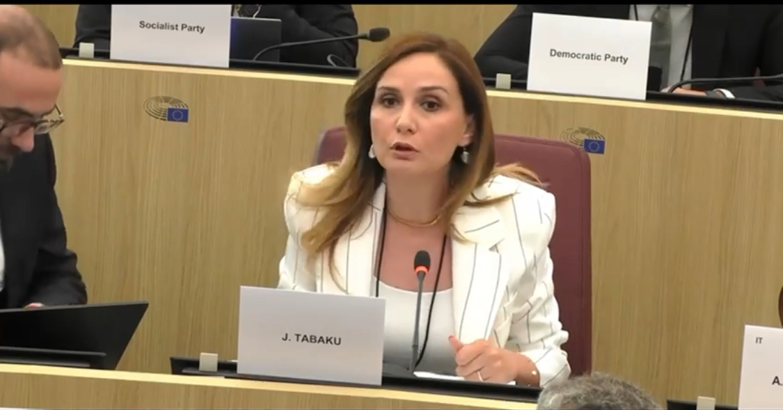 Zgjedhjet në fokus të BE: I dimë tashmë problemet, po presim edhe raportin e plotë të ODIHR