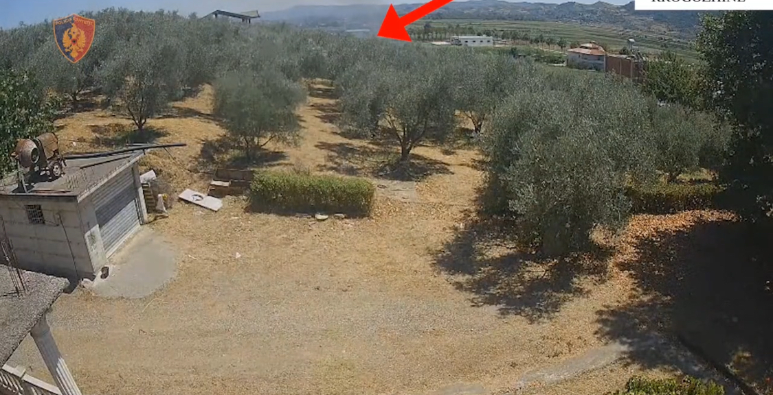 Dogji 10 ha pemë e bimësi në Rrogozhinë pasi u vuri flakën mbeturinave