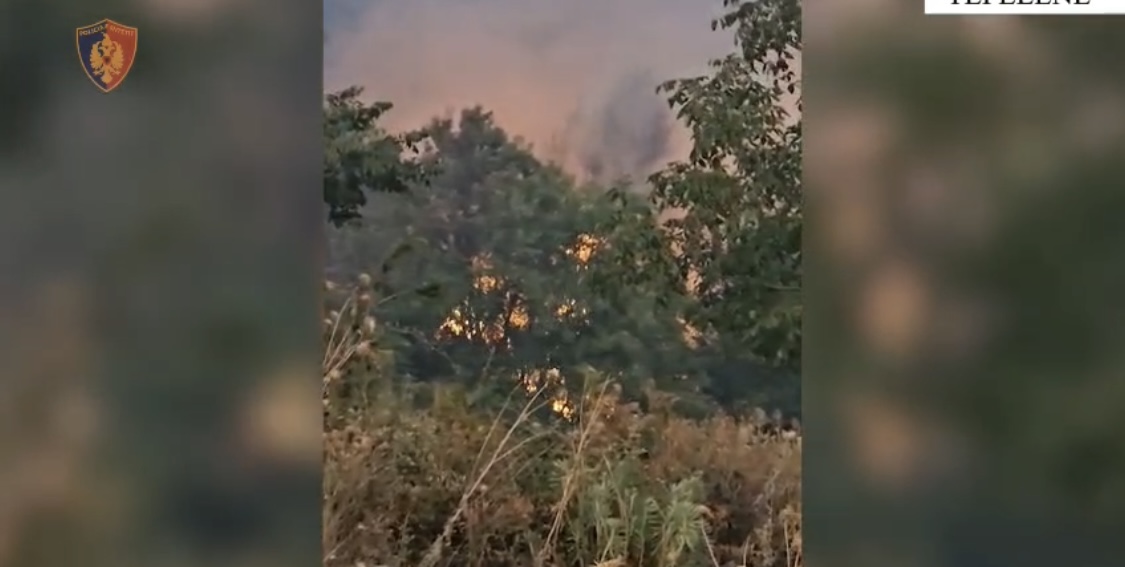 Bëhet nami në Gramsh. Zjarri i ndez në një kopsht por tani nuk ndalet. 1 humbje jete